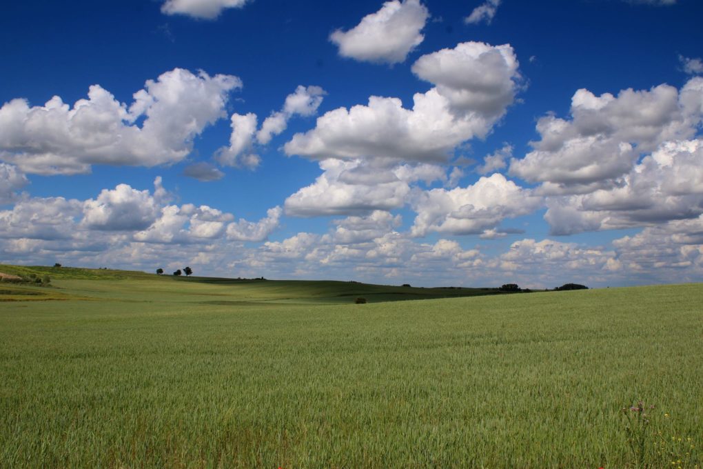 Navarra - Nord Spanien